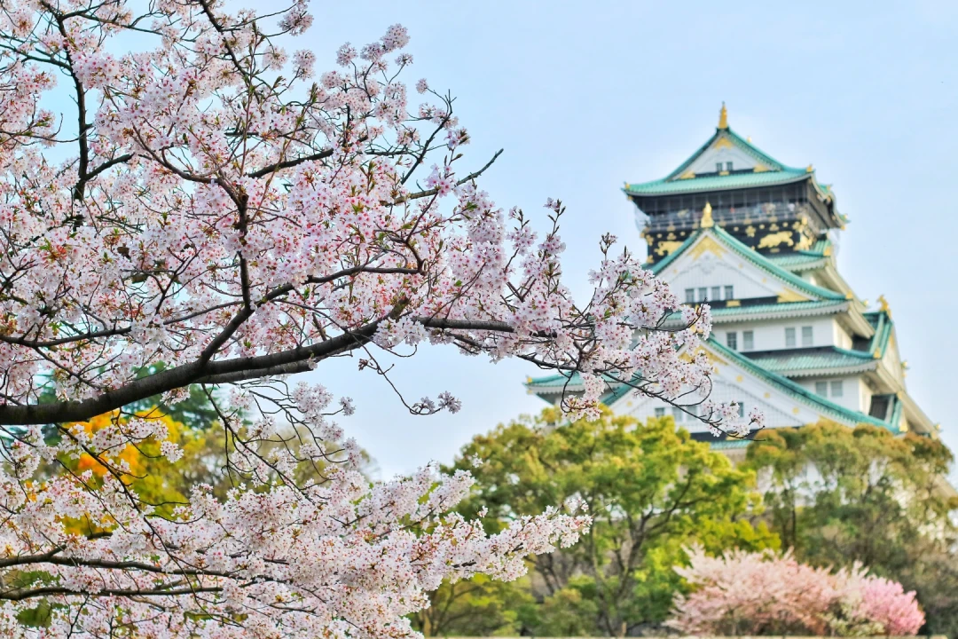 JAPONIA de la Nord la Sud, cu Andrei Neagu